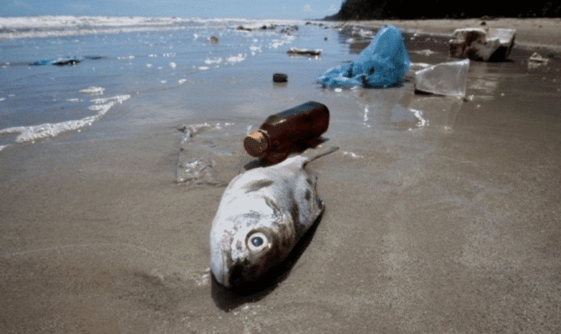 Micro-plastic, the "invisible killer" that harms the global environment 4