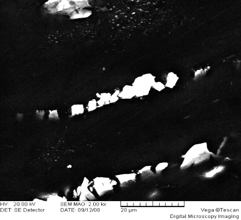 Application of Scanning Electron Microscope in Material Analysis 4